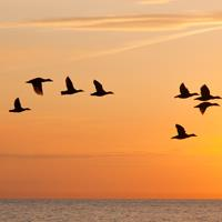 膀胱经不降肾经不升